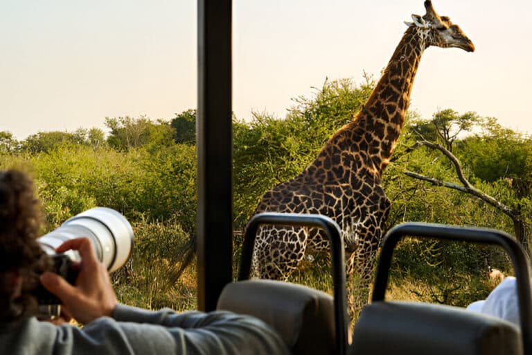 Full Day Kruger Safari from Hoedspruit